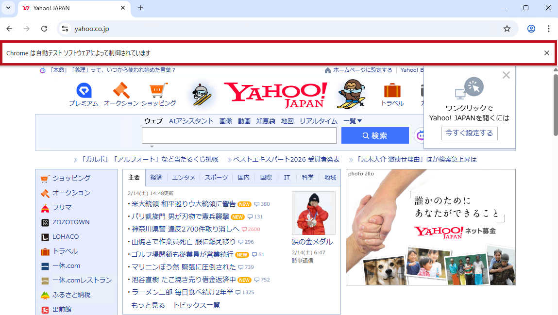 Seleniumを使ってブラウザテストを行った場合の画面例(Seleniumのセットアップ手順)